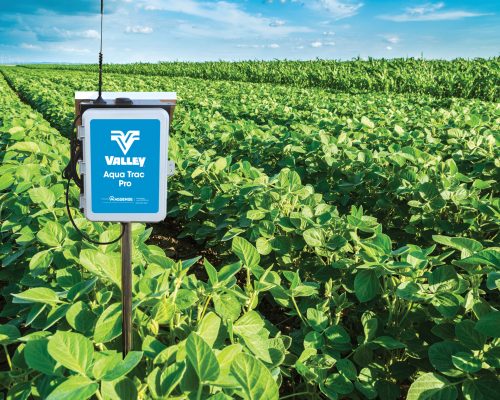 438aef88c0eae077b367a0e7cb69f8da