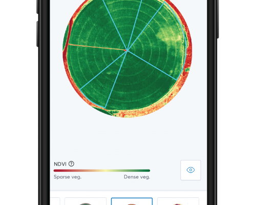 valley-insights_-analysis_0520